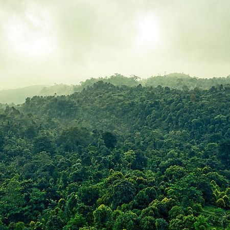Ruhija Gorilla Guest House Kabale Zewnętrze zdjęcie