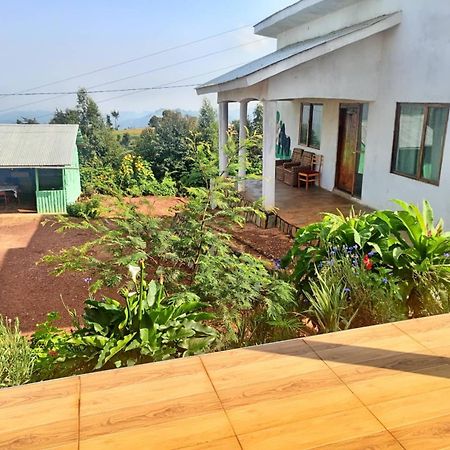 Ruhija Gorilla Guest House Kabale Zewnętrze zdjęcie